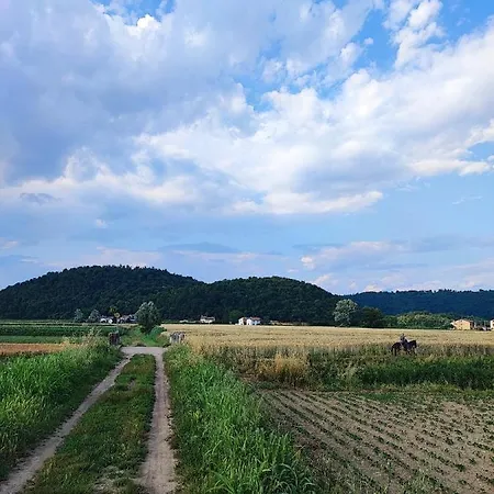 Ca' Dei Berici 3* Tormeno
