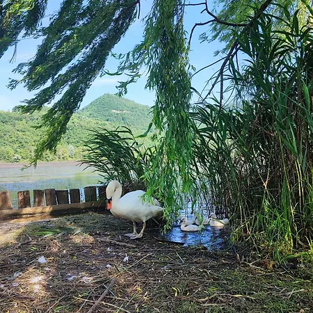 Bed & Breakfast Ca' Dei Berici *