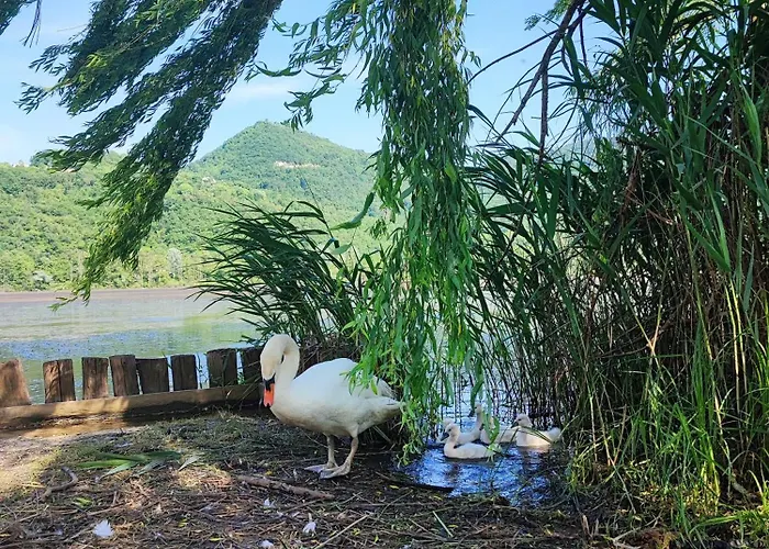 Bed & Breakfast Ca' Dei Berici 3*